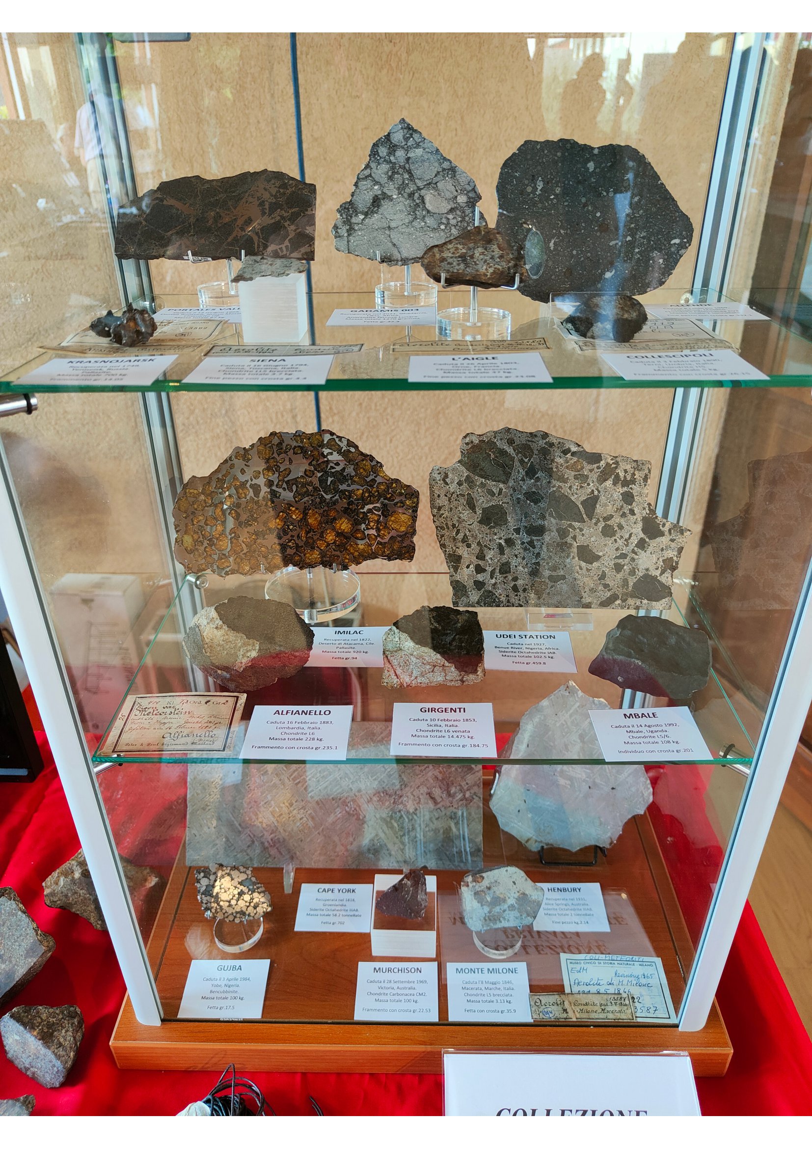 Meteoriti solo per esposizione. La vetrina delle meraviglie  proposta da Matteo Chinellato con alcuni dei campioni più importanti della sua eccezionale collezione.
(Foto M. Chinellato)